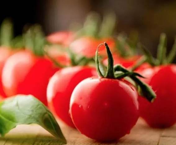 減肥吃番茄好處 減肥吃番茄好處