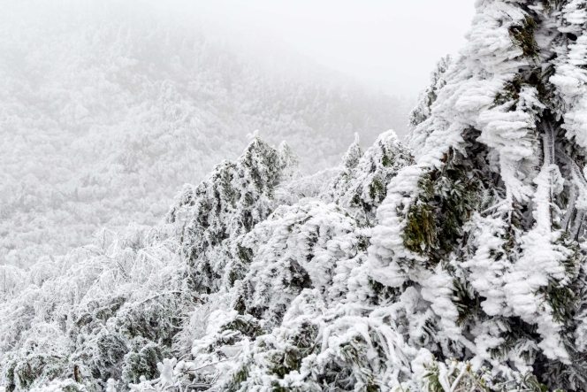 白山旅遊攻略 白山旅遊攻略