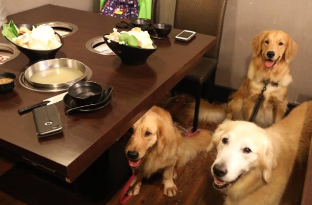 捷運中山站寵物友善餐廳