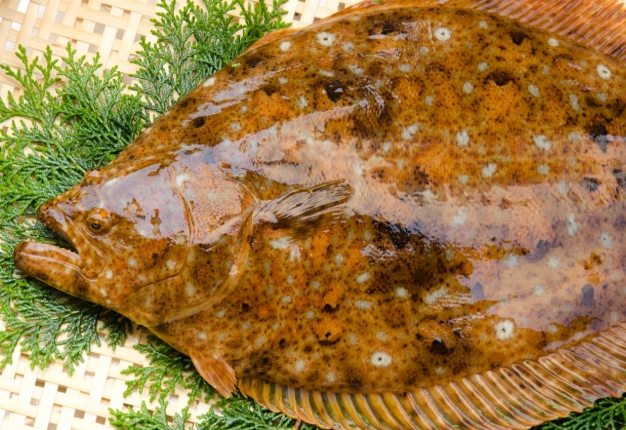 低鉀魚種類 低鉀魚種類