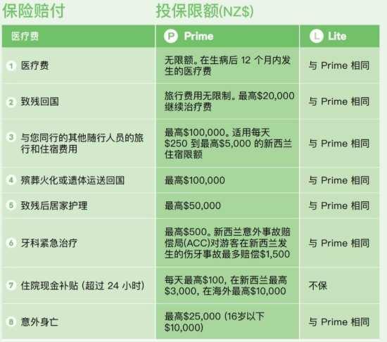 紐西蘭租車保險理賠全攻略：從購買到索賠一次看懂