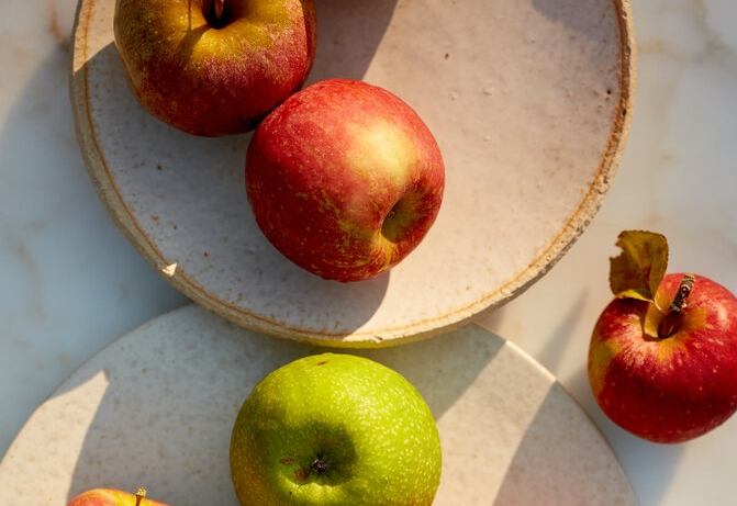 G6PD缺乏症飲食 G6PD缺乏症飲食