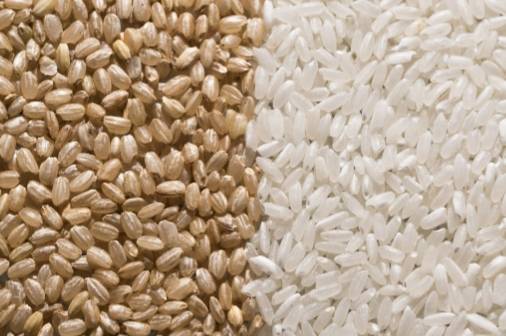 糙米gi值 糙米gi值