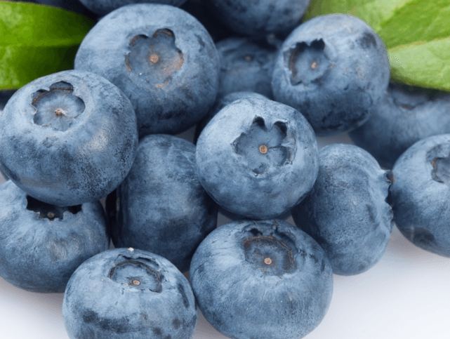 藍莓鉀營養 藍莓鉀營養