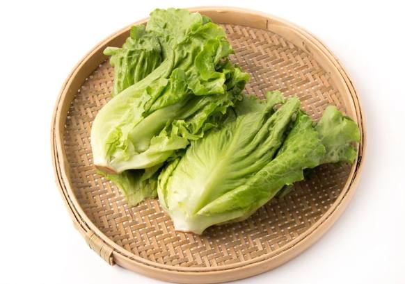 唐生菜生食 唐生菜生食