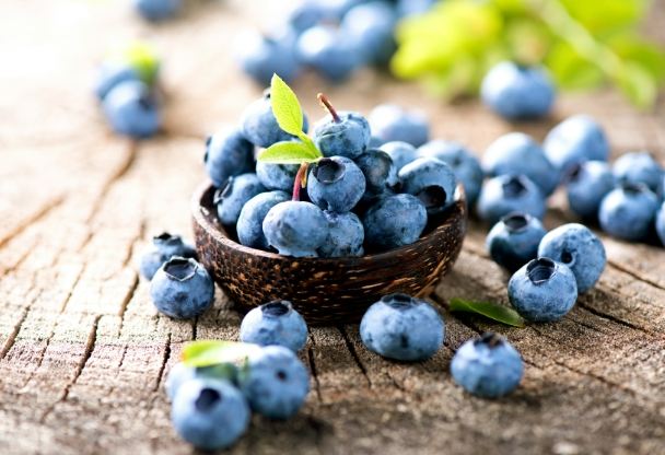 藍莓鉀營養 藍莓鉀營養