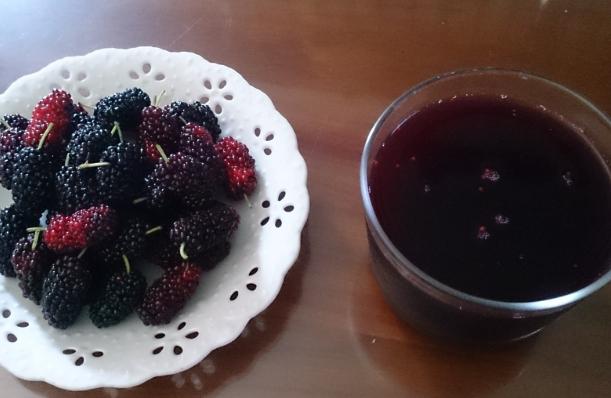 喝桑椹汁的功效