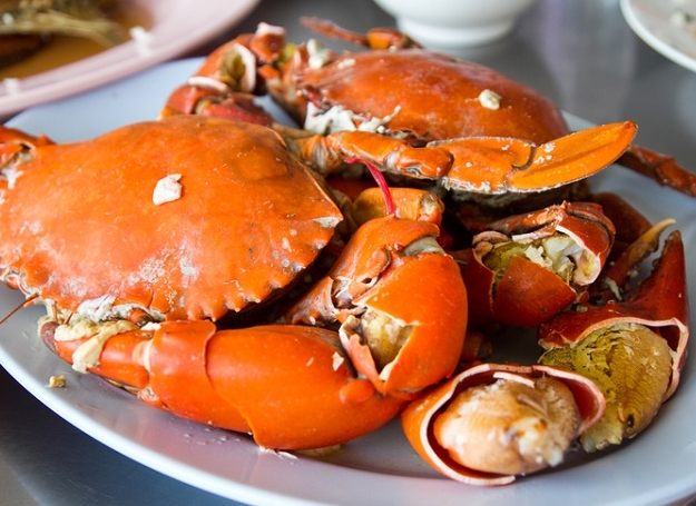 食物相剋 食物相剋