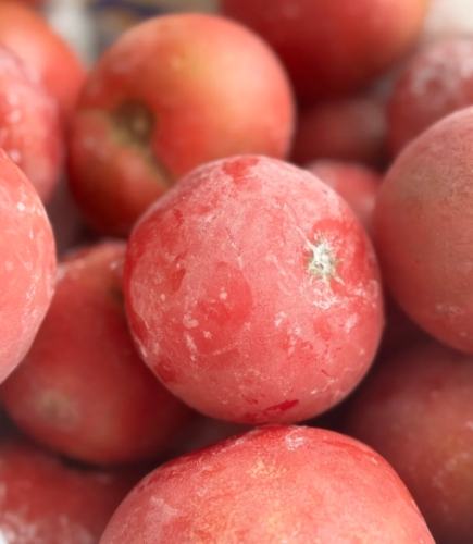 番茄退冰步驟 番茄退冰步驟