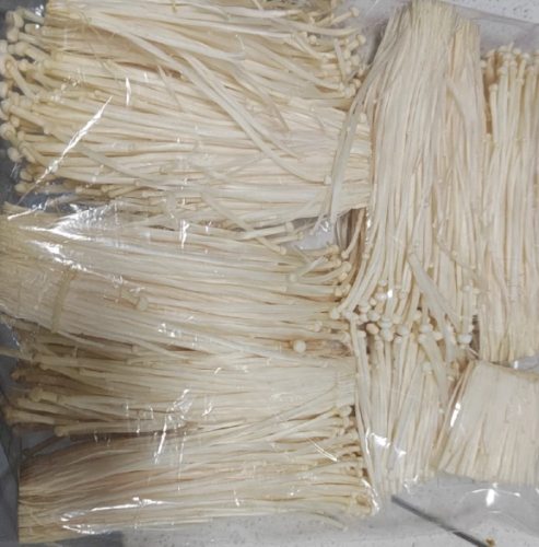 冷凍金針菇期限 冷凍金針菇期限