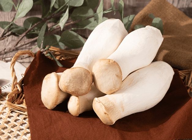 杏鮑菇冷藏可以放多久