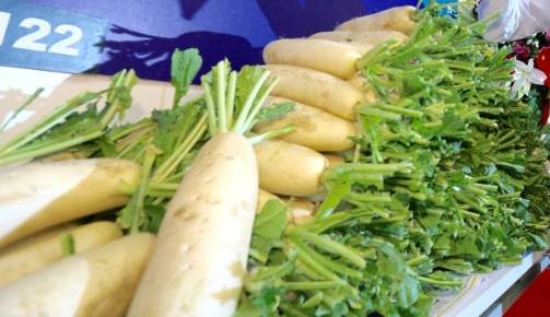 蘿蔔飲食禁忌 蘿蔔飲食禁忌