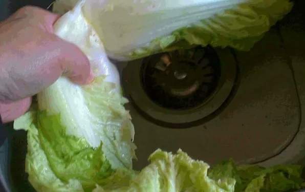 如何洗大白菜 如何洗大白菜