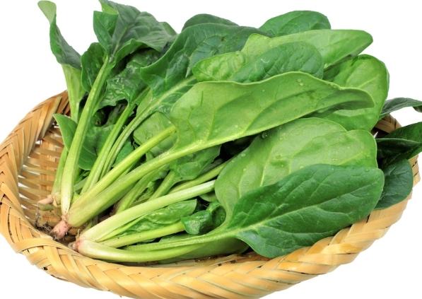 食物搭配注意 食物搭配注意