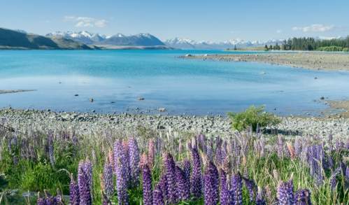 紐西蘭南島必去 紐西蘭南島必去
