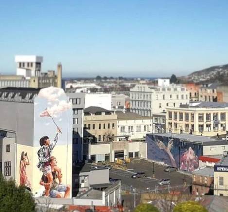 但尼丁旅游购物