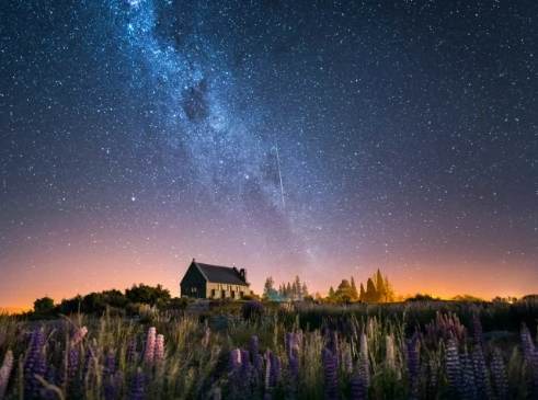 紐西蘭自駕注意事項