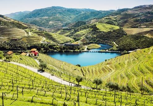 紐西蘭租車攻略 紐西蘭租車攻略