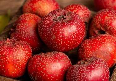 孕婦飲食禁忌 孕婦飲食禁忌