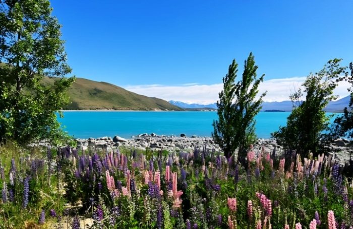 基督城旅遊天氣