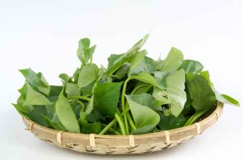 地瓜葉禁忌食物 地瓜葉禁忌食物