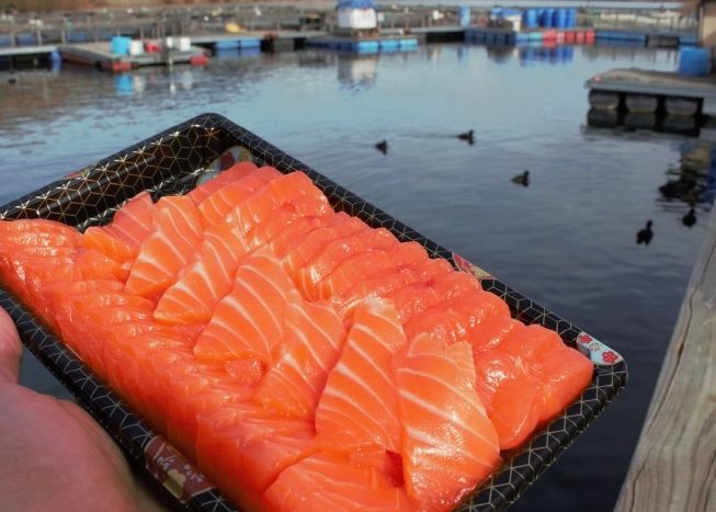 皇后鎮餐廳推薦 皇后鎮餐廳推薦