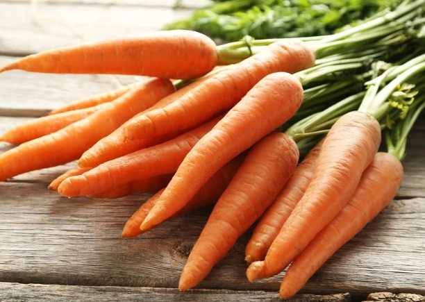 紅蘿蔔飲食建議