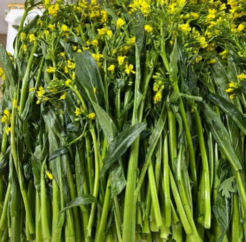 油菜心營養 油菜心營養