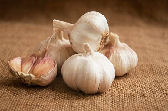 天然驅蟲植物 天然驅蟲植物