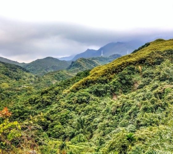大凍山步道封閉