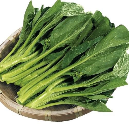 菜心營養價值 菜心營養價值