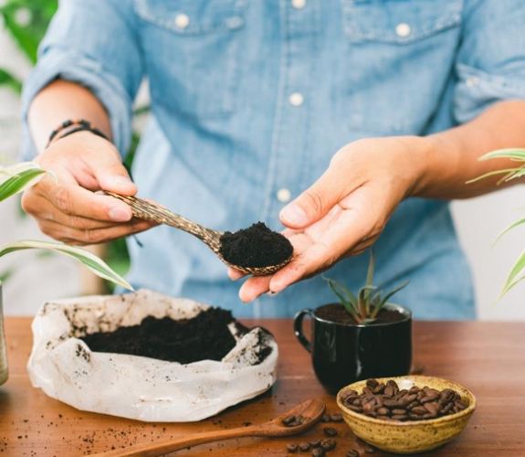咖啡渣肥料 咖啡渣肥料