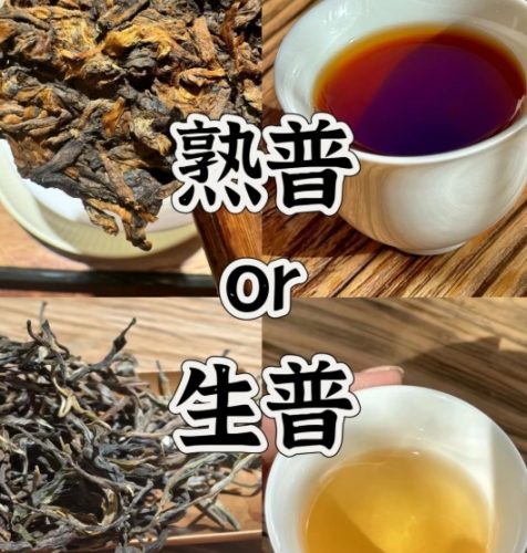 普洱茶生熟茶比較 普洱茶生熟茶比較