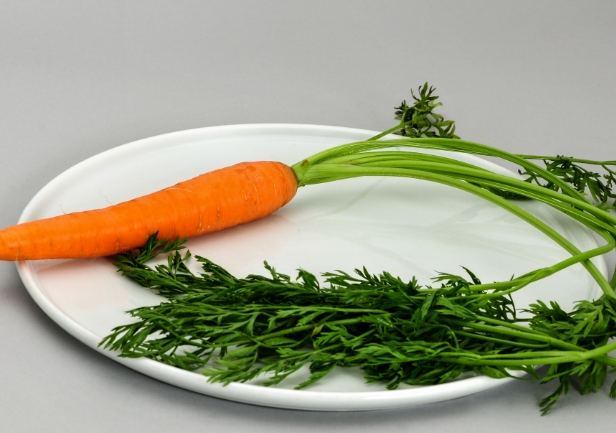 紅蘿蔔飲食建議