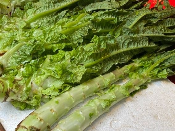 萵筍菜心營養