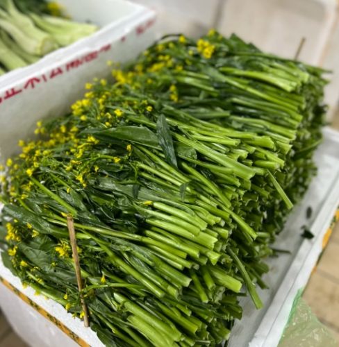 油菜心食譜 油菜心食譜