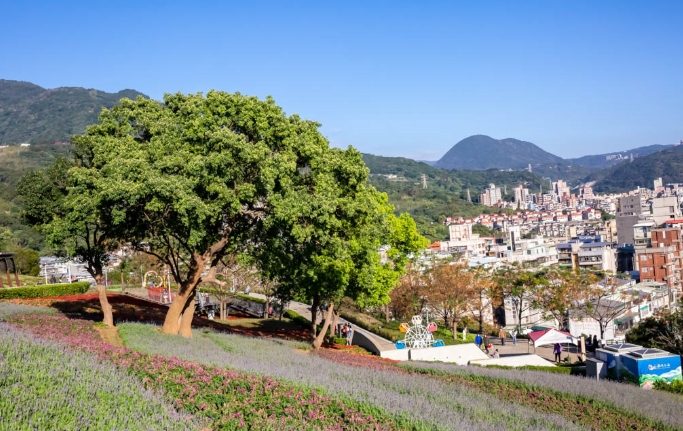 三層崎公園周邊好玩
