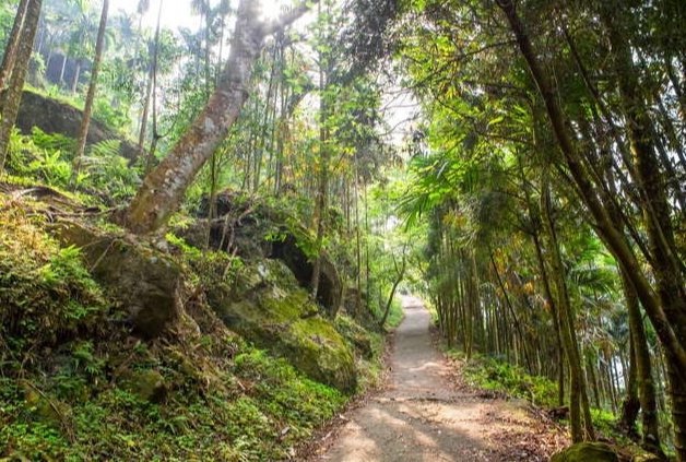 關子嶺大凍山步道