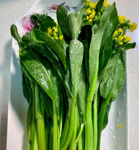 油菜心營養 油菜心營養