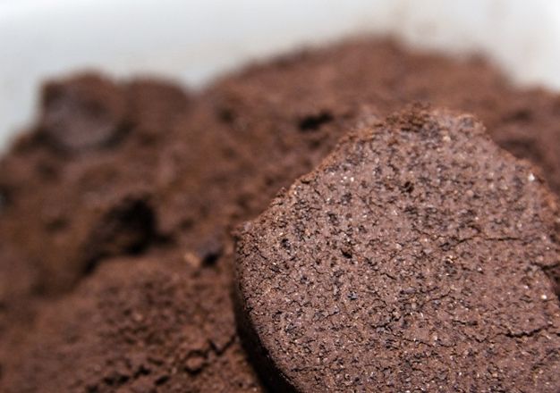 咖啡渣肥料 咖啡渣肥料