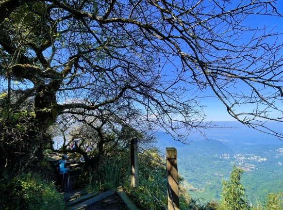 台南登山步道推薦