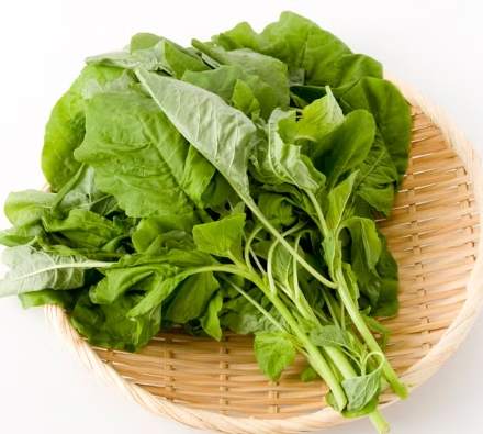 白莧菜料理 白莧菜料理