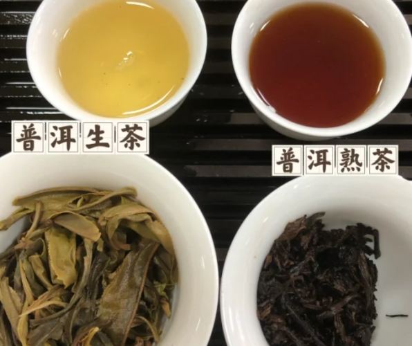 生茶與熟茶差異 生茶與熟茶差異