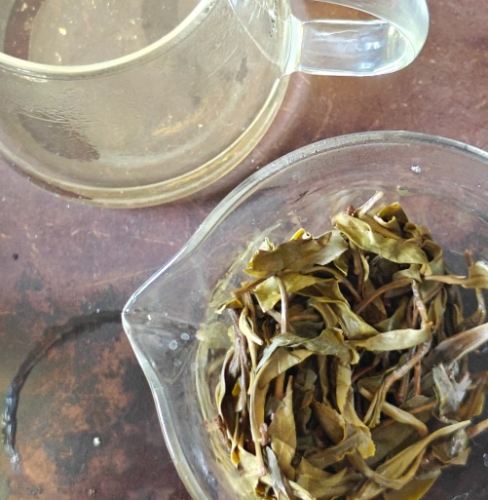 生普洱沖泡技巧