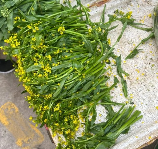 油菜心食譜 油菜心食譜