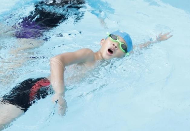 自由泳健身效果