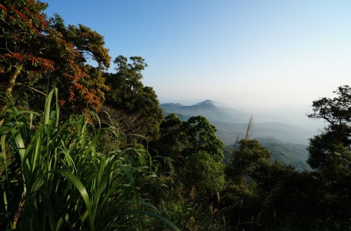 台灣登山封山資訊