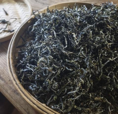 生茶咖啡因含量