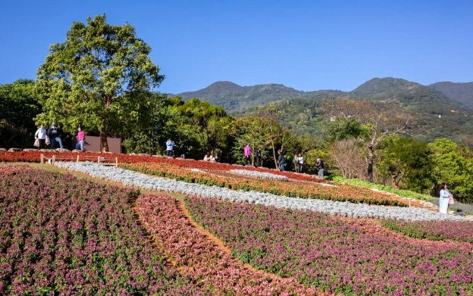 三層崎公園周邊好玩