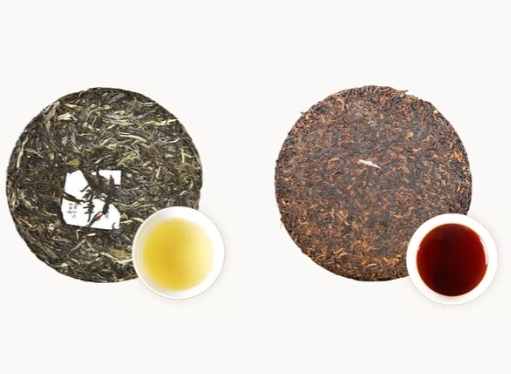 普洱茶生熟茶比較 普洱茶生熟茶比較